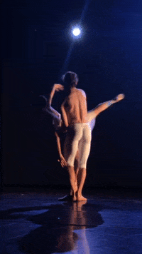Ballet GIF by Europaballett St. Pölten