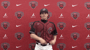 Baseball Wildcats GIF by CWU Athletics