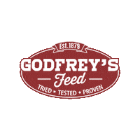 godfreysfeed feed the best livestock show cattle Sticker