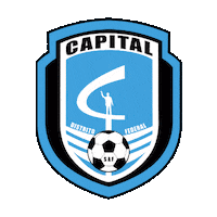Brasão Sticker by CapitalCF