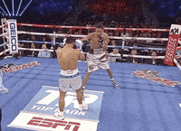 toprank fight boxing champion espn GIF