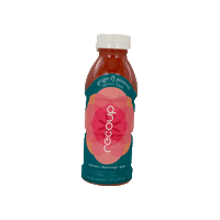 Health Ginger Sticker by Recoup Wellness