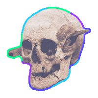 dead skull STICKER by imoji