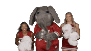 Crimson Tide Cheer Sticker by The University of Alabama