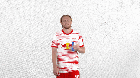 Red Bull Football GIF by RB Leipzig