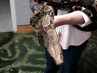 Awkward Education GIF by DIIMSA Stock