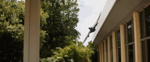 d4441 giphyupload GIF