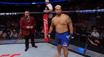 ufc 209 GIF
