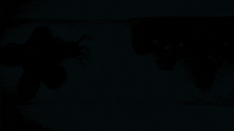 Angry Dog GIF by HangryPetz