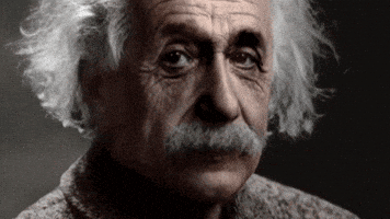 albert einstein GIF