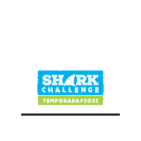 Shark Sharkchallenge Sticker by Inovary Pisos