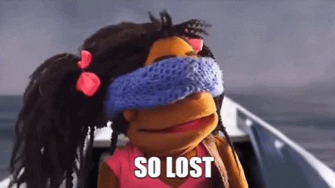 confused bird box GIF by Fluffy Friends