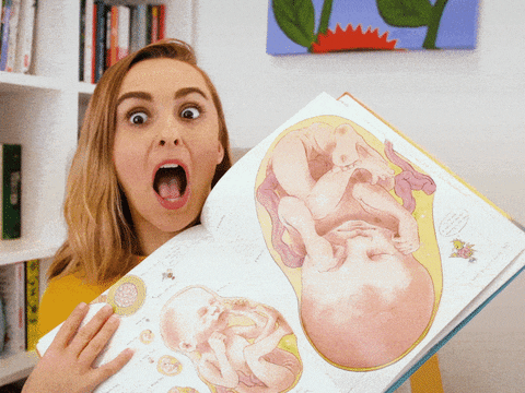 Where Do Babies Come From Horror GIF by HannahWitton