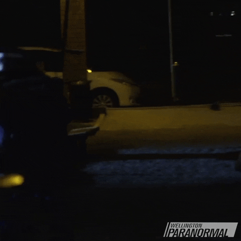 Jump Running GIF by Wellington Paranormal