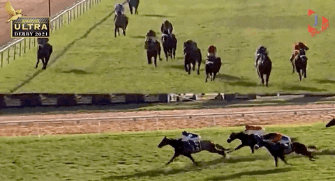 Horse Racing GIF by 1 Play Sports