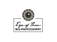 IrisFotoSchweiz photography eye switzerland moving Sticker