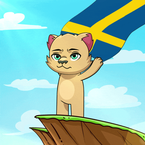 Sweden Flag GIF by Kabu