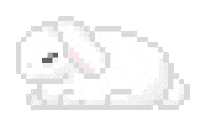 Art Animation Sticker