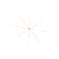 Stars Sparkle Sticker by Safe Place For Youth