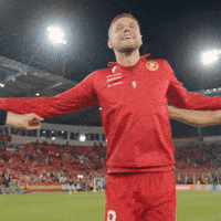 Football Rts GIF by Widzew Łódź