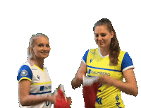SSCPalmberg_Schwerin volleyball ssc schwerin sscpalmbergschwerin Sticker