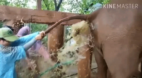 louizandredauphin  GIF