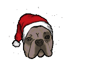 Refritscherator dog christmas santa doggo Sticker