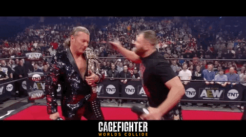 Mixed Martial Arts Fight GIF by Indiecan Entertainment Inc.