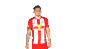 So Close Sticker by FC Red Bull Salzburg