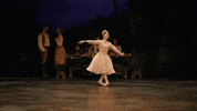 Swanlake GIF by English National Ballet