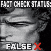 Fact Lying GIF