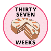 Pregnancy Baby Size Sticker by Bump Boxes