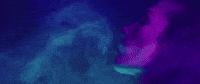 music video GIF by Samuel Larsen