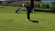 Sport Putting GIF by Me and My Golf
