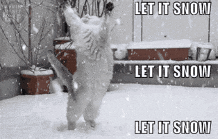 Let It Snow Cat GIF