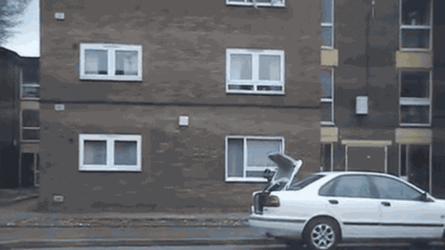 pizza delivery GIF by Cheezburger