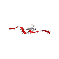 Red Foxes Sticker by Marist University
