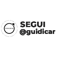 _GuidiCar_ guidi guidicar guidi car Sticker