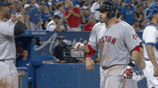 celebration jd GIF by MLB