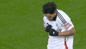 Premier League Dance GIF by Fulham FC