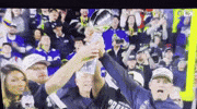 Nfl Superbowl Champions GIF