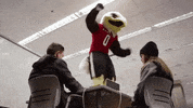 eastern-washington-university swoop ewu eastern washington university GIF