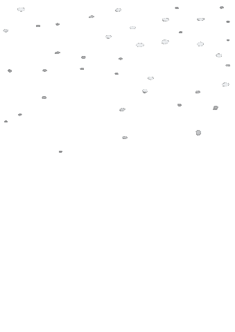 Snow Star Sticker