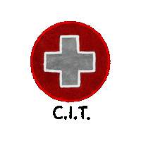 First Aid Training Sticker by Pali Adventures