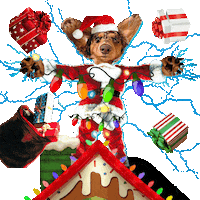 Merry Christmas Sticker by Pimp Yo Pets