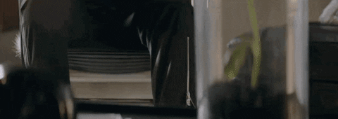 K Pop Oneday GIF by Monsta X