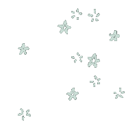 Stars Sparkle Sticker