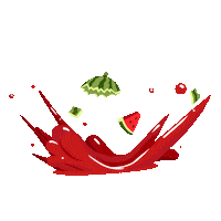 Bread Watermelon Sticker by Bake 'n Switch