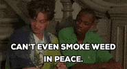 weed dave chappelle half baked jim breuer cant even smoke weed in peace GIF