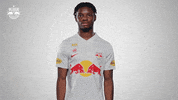 Football Sport GIF by FC Red Bull Salzburg